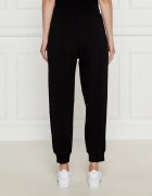 EA7 Pantaloni de trening | regular fit