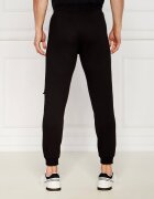 EA7 Pantaloni de trening | Regular Fit