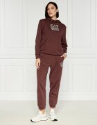 EA7 Pantaloni de trening | Regular Fit
