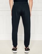 EA7 Pantaloni de trening | Regular Fit