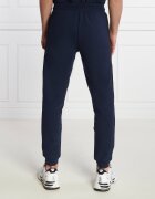 EA7 Pantaloni de trening | Regular Fit