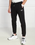 EA7 Pantaloni de trening | Regular Fit