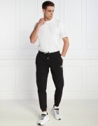 EA7 Pantaloni de trening | Regular Fit