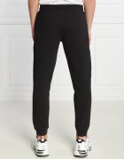 EA7 Pantaloni de trening | Regular Fit