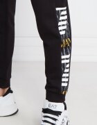 EA7 Pantaloni de trening | Regular Fit