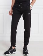 EA7 Pantaloni de trening | Regular Fit