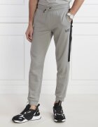 EA7 Pantaloni de trening | Regular Fit