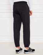 EA7 Pantaloni de trening | Relaxed fit