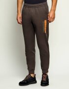 EA7 Pantaloni de trening | Slim Fit