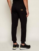 EA7 Pantaloni de trening | Slim Fit