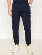 EA7 Pantaloni de trening | Slim Fit