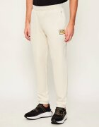 EA7 Pantaloni de trening | Slim Fit