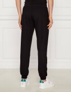 EA7 Pantaloni de trening | Slim Fit