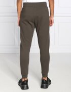 EA7 Pantaloni | Regular Fit