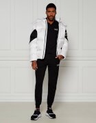 EA7 Polo | regular fit