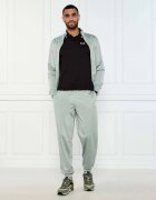 EA7 Polo | Regular Fit