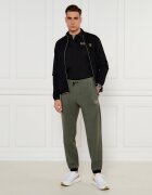 EA7 Polo | Regular Fit