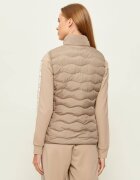 EA7 Vestă | regular fit