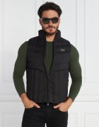 EA7 Vestă | Regular Fit