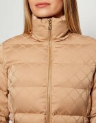 Elisabetta Franchi Geacă | regular fit