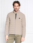 Emporio Armani De puf geacă | Regular Fit