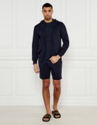 Emporio Armani Hanorac | Regular Fit