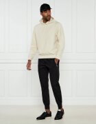 Emporio Armani Hanorac | Regular Fit