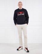 Emporio Armani Hanorac | Regular Fit