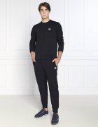 Emporio Armani Hanorac | Regular Fit
