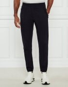 Emporio Armani Pantaloni de trening Essentials | Regular Fit
