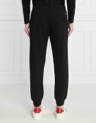 Emporio Armani Pantaloni de trening | Regular Fit