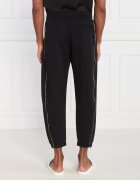 Emporio Armani Pantaloni de trening | Regular Fit