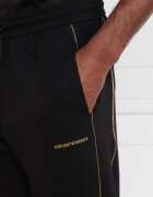 Emporio Armani Pantaloni de trening | Regular Fit
