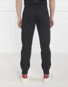 Emporio Armani Pantaloni de trening | Regular Fit