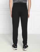 Emporio Armani Pantaloni de trening | Regular Fit