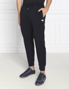 Emporio Armani Pantaloni de trening | Regular Fit