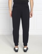 Emporio Armani Pantaloni de trening | Regular Fit