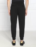 Emporio Armani Pantaloni de trening | Regular Fit