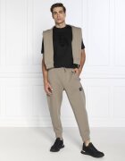 Emporio Armani Pantaloni de trening | Regular Fit