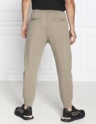 Emporio Armani Pantaloni de trening | Regular Fit