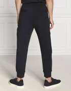 Emporio Armani Pantaloni de trening | Regular Fit