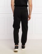 Emporio Armani Pantaloni de trening | Regular Fit