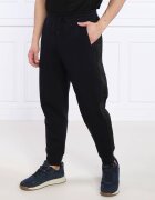 Emporio Armani Pantaloni de trening | Regular Fit