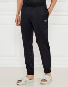 Emporio Armani Pantaloni de trening | Regular Fit
