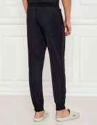 Emporio Armani Pantaloni de trening | Regular Fit