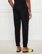 Emporio Armani Pantaloni de trening | Regular Fit