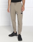 Emporio Armani Pantaloni de trening | Regular Fit