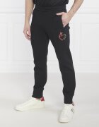 Emporio Armani Pantaloni de trening | Regular Fit