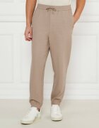 Emporio Armani Pantaloni de trening | Regular Fit