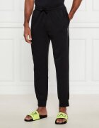 Emporio Armani Pantaloni de trening | Regular Fit